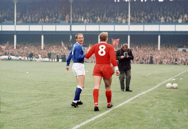 凯恩将自己 凯恩将自己