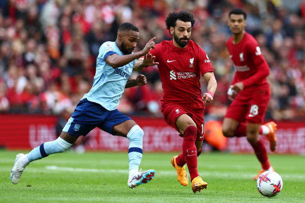 贝尔纳多 贝尔纳多