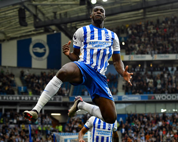 的栖息环境 的栖息环境